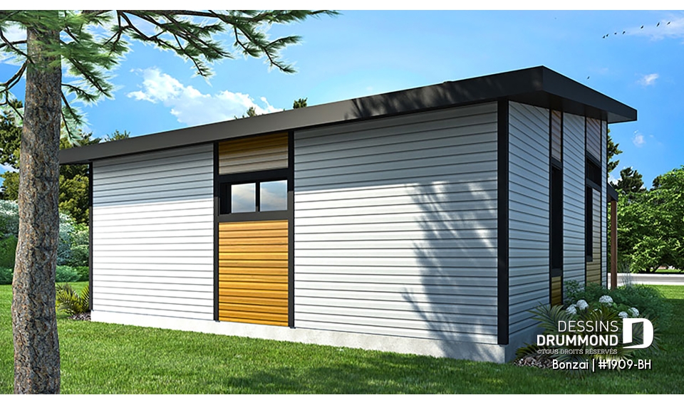 Version couleur no. 2 - Vue arrière - Bonzai