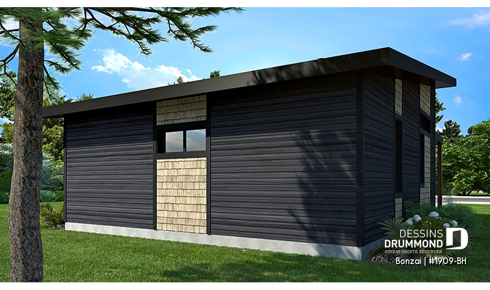 Version couleur no. 3 - Vue arrière - Bonzai