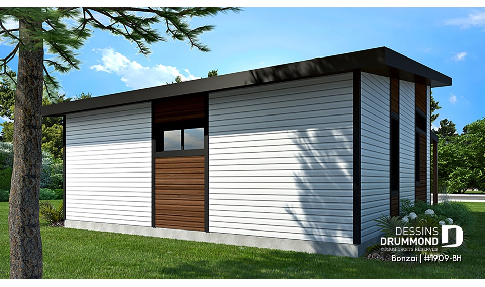 Vue arrière - MODÈLE DE BASE - Bonzai