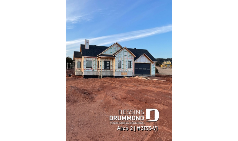 Photo Alternative - Alice 2