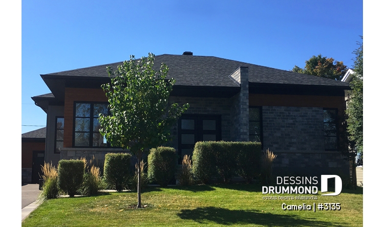 Photo Vue avant - Camelia