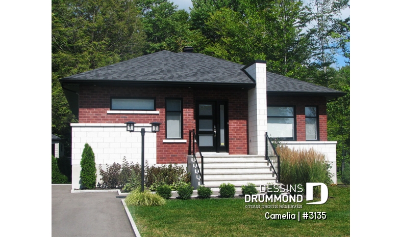 Photo Vue avant - Camelia