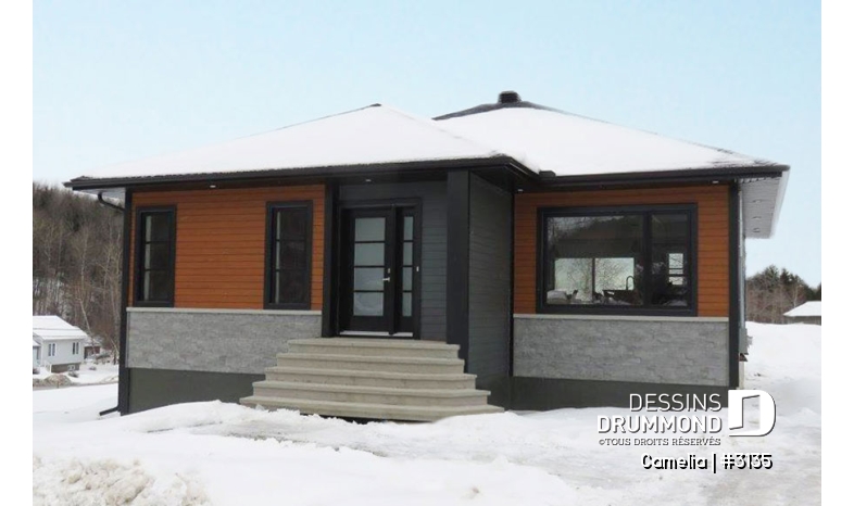 Photo Vue avant - Camelia