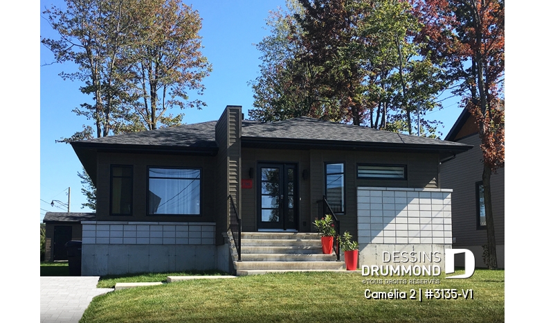 Photo Vue avant - Camélia 2