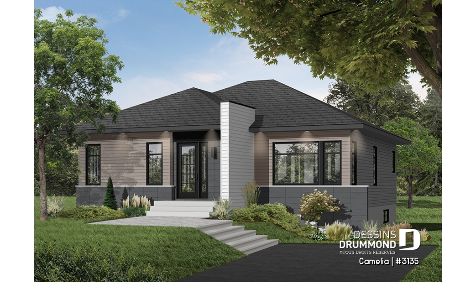 Version couleur no. 7 - Vue avant - Camelia