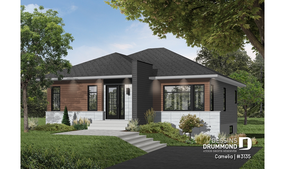 Vue avant - MODÈLE DE BASE - Camelia