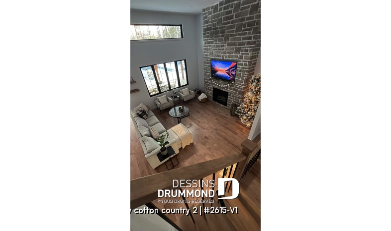 Photo Salon - New cotton country 2