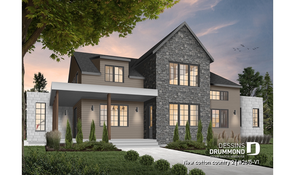 Version couleur no. 2 - Vue avant - New cotton country 2