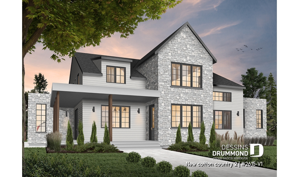 Version couleur no. 4 - Vue avant - New cotton country 2