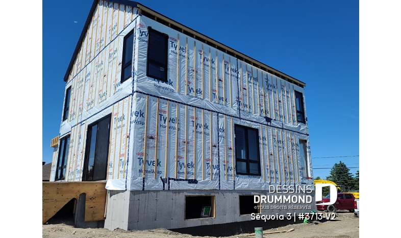 Photo Vue arrière - Séquoïa 3