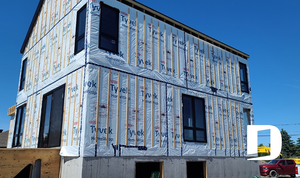 Photo Vue arrière - Séquoïa 3