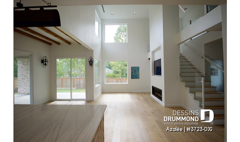 Photo Salon - Azalée