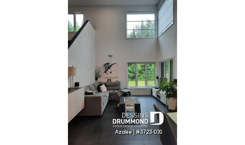 Photo Salon - Azalée