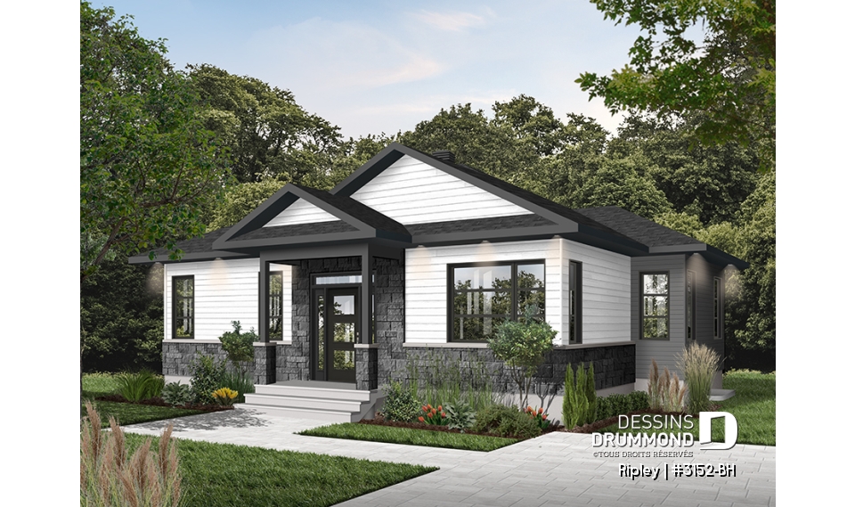 Version couleur no. 4 - Vue avant - Ripley